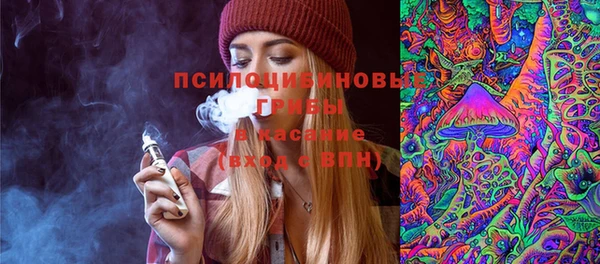 амф Алзамай