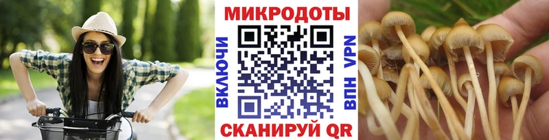 Галлюциногенные грибы ЛСД кракен онион Родники купить наркоту