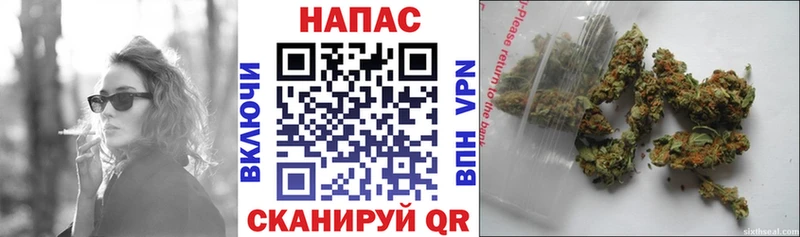 наркотики  Родники  Бошки Шишки OG Kush 